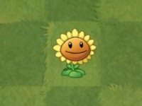 巴黎人940官网角色介绍