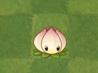 巴黎人940官网角色介绍