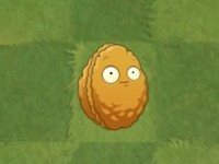 巴黎人940官网角色介绍