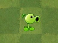 巴黎人940官网角色介绍